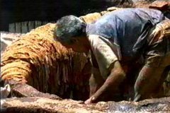 FOTOS (254) � IMAGEN FOTOGRAFIA